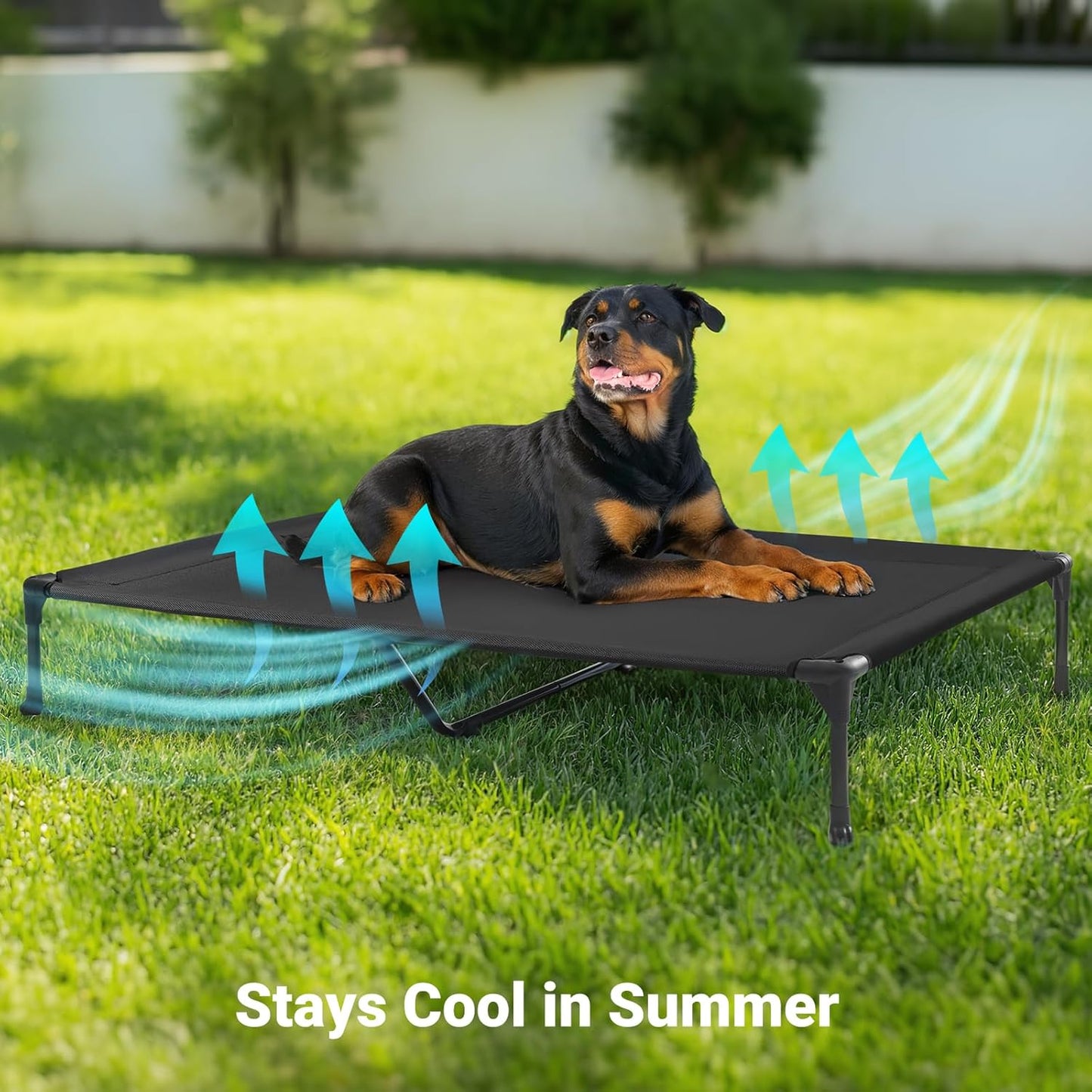Veehoo Outdoor Elevated Dog Cot Bed, Cooling Raised Pet Bed for Large Dogs, Washable Breathable Mesh Hammock Bed with No-Slip Feet, Indestructible Ground Off Training Platform Cot, 53"x37"
