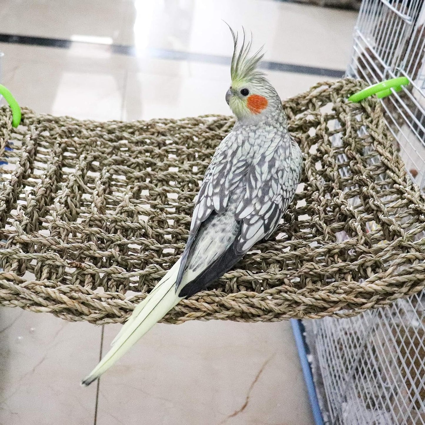 16 x 12 Inches Bird Seagrass Mat, Natural Seagrass Woven Net, Bird Hammock Mat with Hooks, Bird Cage Accessories, Climbing Rope Ladder Chew Toys for Cockatiel Hamster Guinea Pig Rats Hamster Parakeet