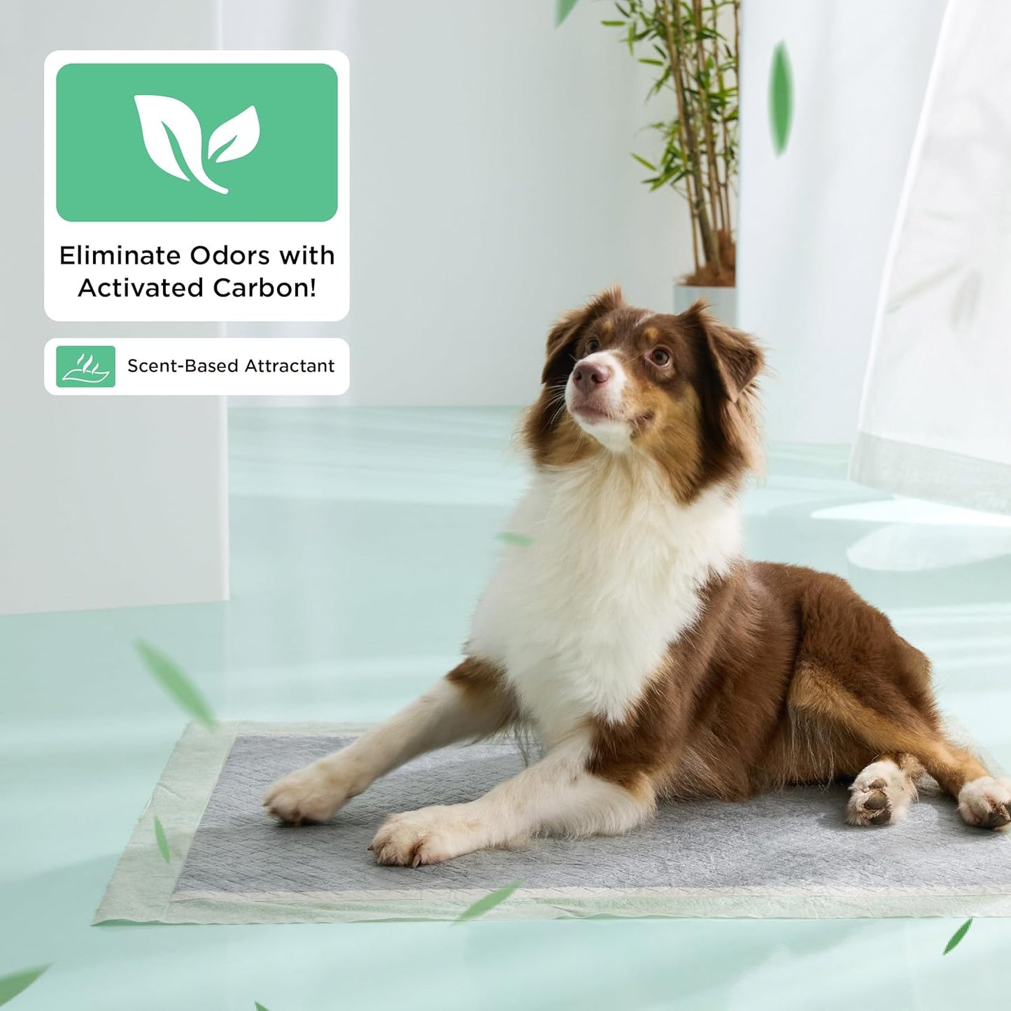 Bedsure Dog Pee Pads Extra Large, 28" x 34" Puppy Pads 52 Count, Super Absorbent & Leak Proof, XL Training Pads Quick Dry Thicken Dog Potty Pad with Odor-Control Activated Carbon & ECO Green Material