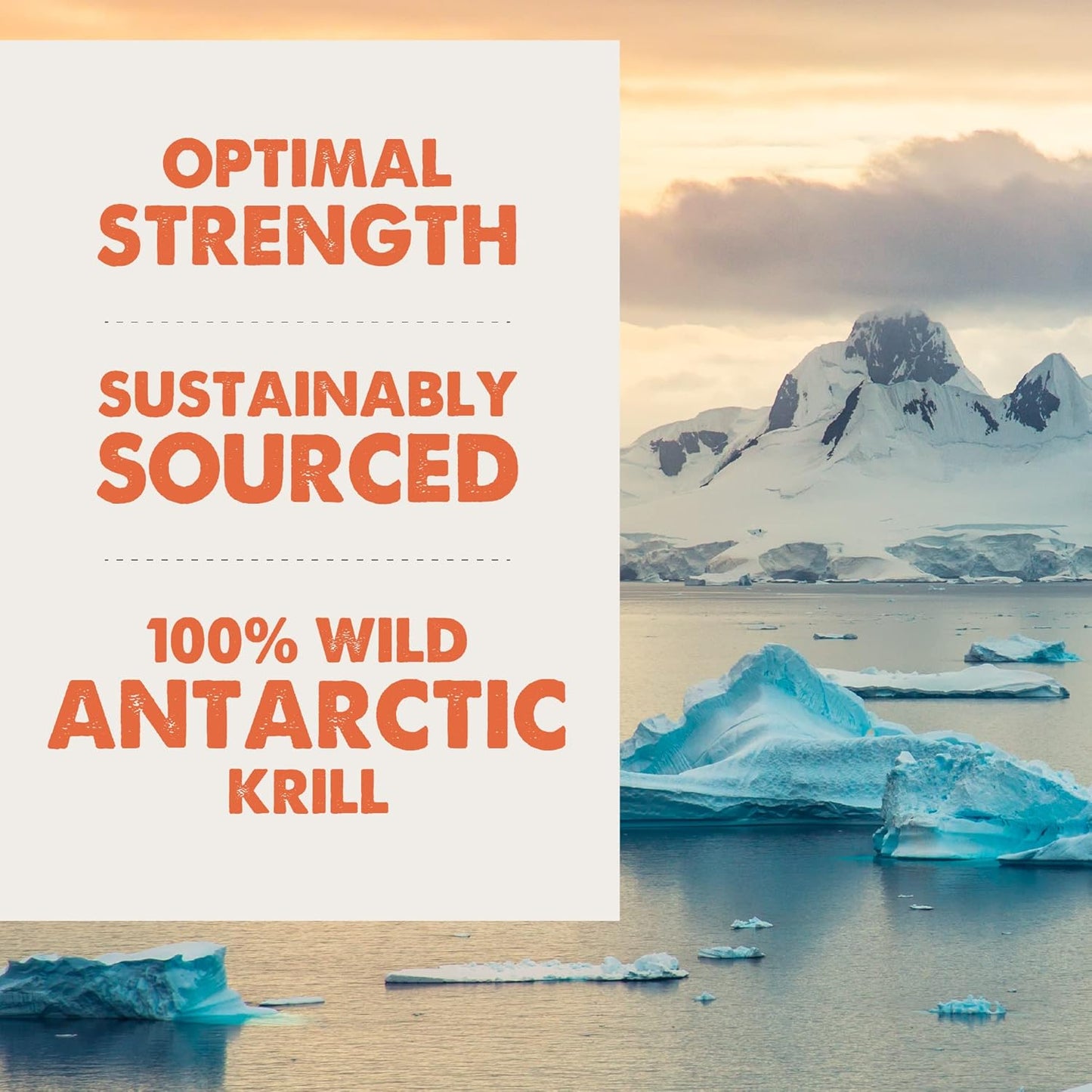 GRIZZLY PET PRODUCTS Joint Aid for Dogs Liquid Hip and Joint Support (Extra Strength), 16 fl oz