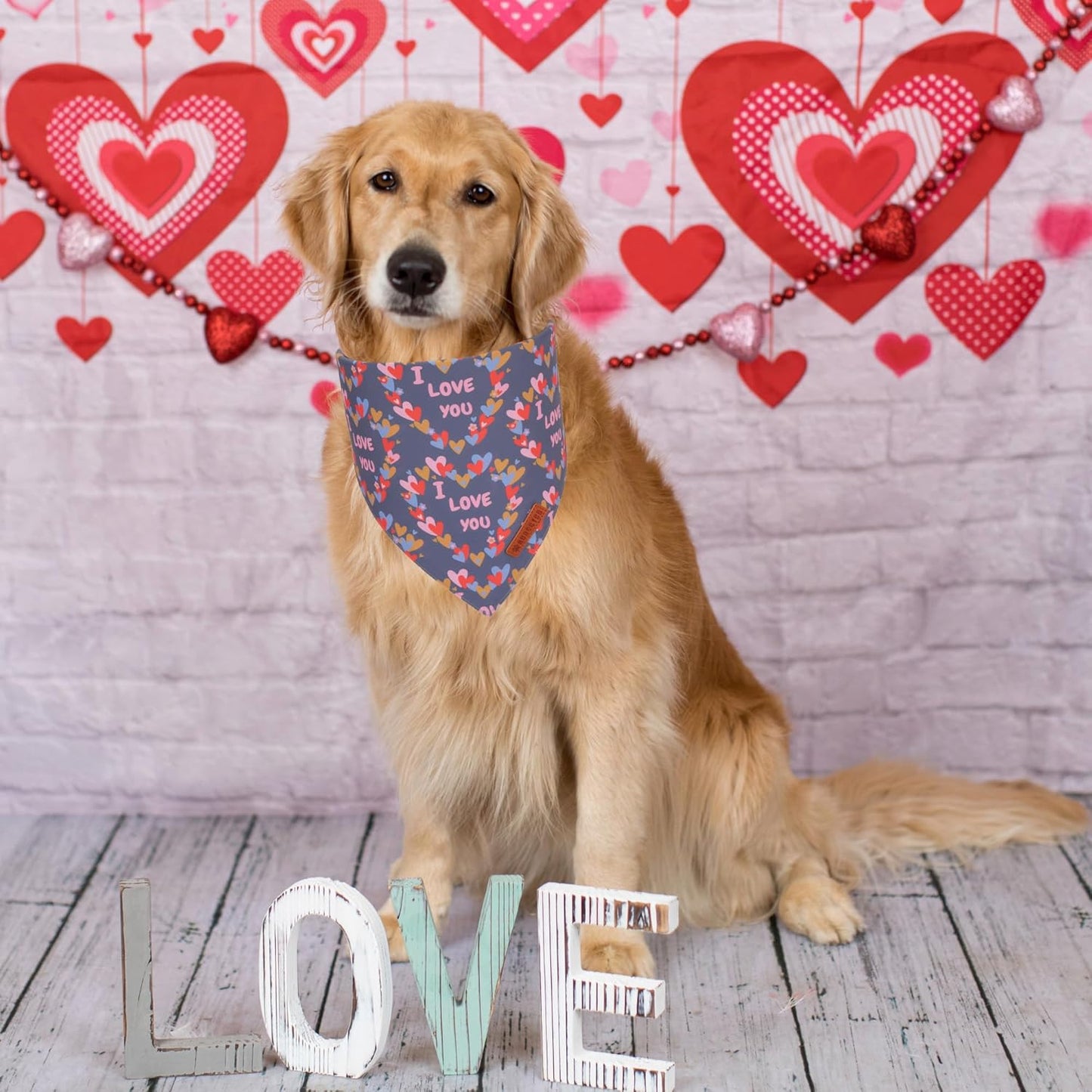 ADOGGYGO Valentine Dog Bandanas, Heart Love Floral Pet Scarf, Multi Size Offered, Pink Blue Pet Valentine Bandana for Large and Extra Large Dogs (X-Large)