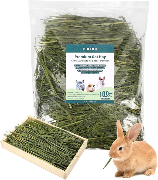 Premium Oat Hay for Pets - Dust Free Natural Green Fresh Pet Food Hay for Rabbits, Guinea Pigs, Chinchillas, Hamsters & Gerbils - 2.2lbs
