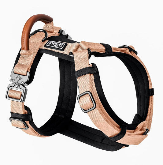 MADE TO ROAM Premium Explorer Harness - Y-Shaped Dog Harness with Adjustable Durable Nylon, Soft Padding, Metal Buckles and Leather Handle for Small, Medium, Large Dogs (Carolina Blooms, Size 2)
