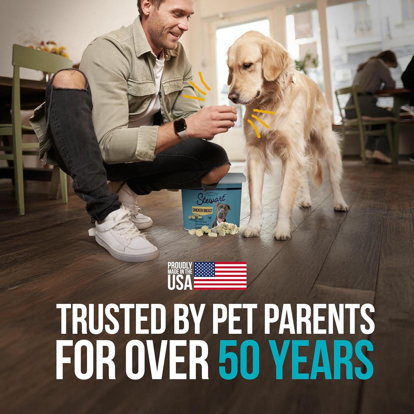 Stewart Single Ingredient Freeze Dried Raw Dog Treats, Chicken Breast, 3 Ounce, Approx. 55 Pieces per Resealable Tub, Training Treats or Meal Topper, High Protein, Grain Free, Gluten Free