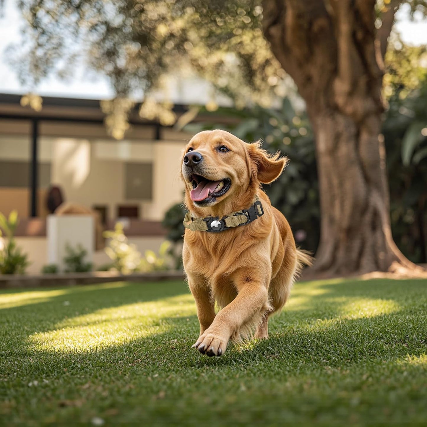 Tactical AirTag Dog Collar - Heavy Duty, Adjustable GPS Collar Compatible with Apple AirTag, with Holder & Control Handle for Medium/Large Dogs [ Brown, L ]