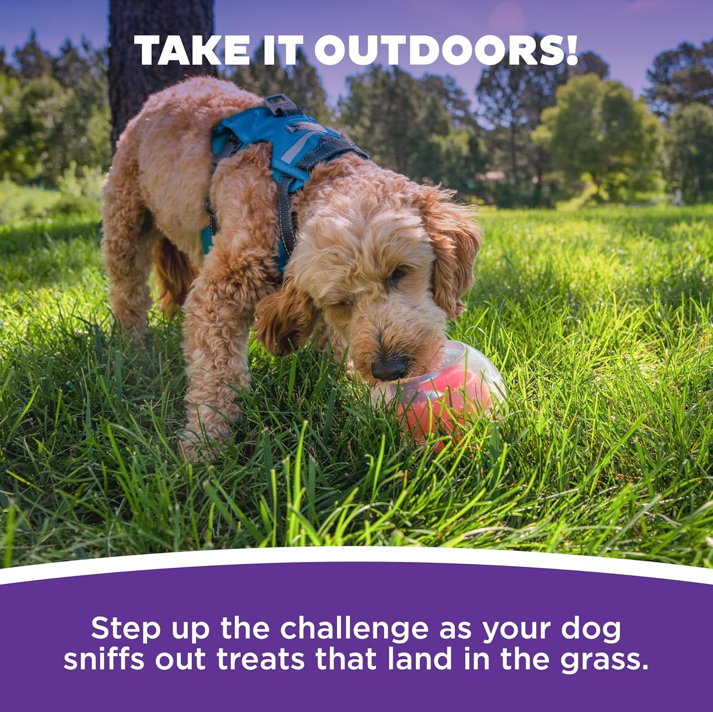 Outward Hound Nina Ottosson Topsy Treat Ball Dog Puzzle Interactive Treat Puzzle Dog Enrichment Dog Toy, Level 1 Beginner, Orange