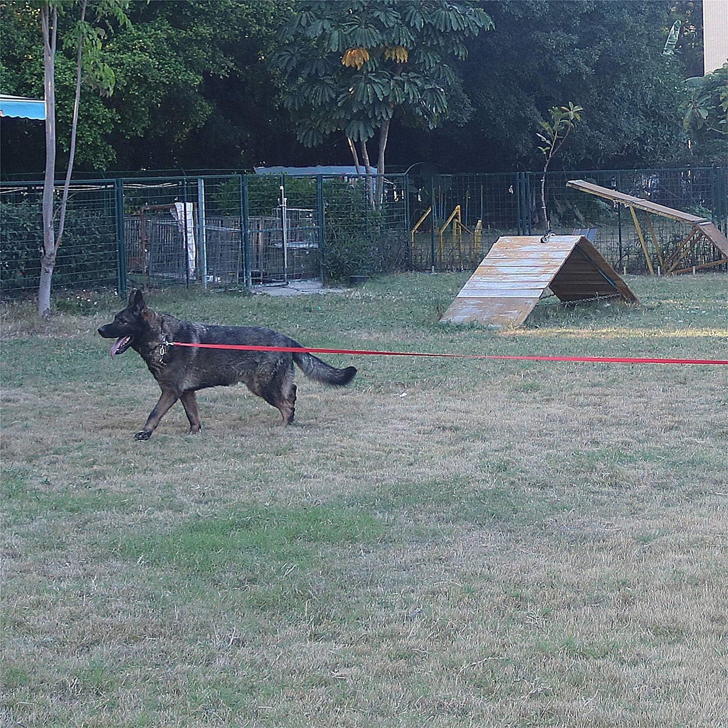 Dog/Puppy Obedience Recall Training Agility Lead - 15ft 20ft 30ft 40ft 50ft Training Leash - Great for Play, Camping, or Backyard - Mint Blue 50ft (Mint Blue, 50 Feet)