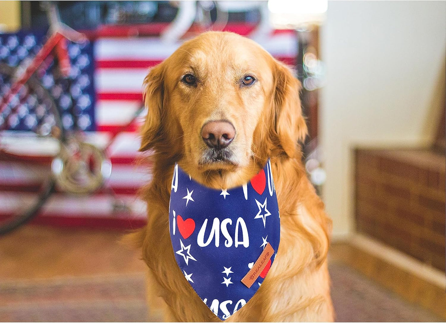 Realeaf 4th of July Bandanas 2 Pack, Triangle Reversible American Flag Pet Patriotic Scarf for Boy and Girl, Premium Durable Fabric, USA Bandana for Medium and Large Dogs (Large)