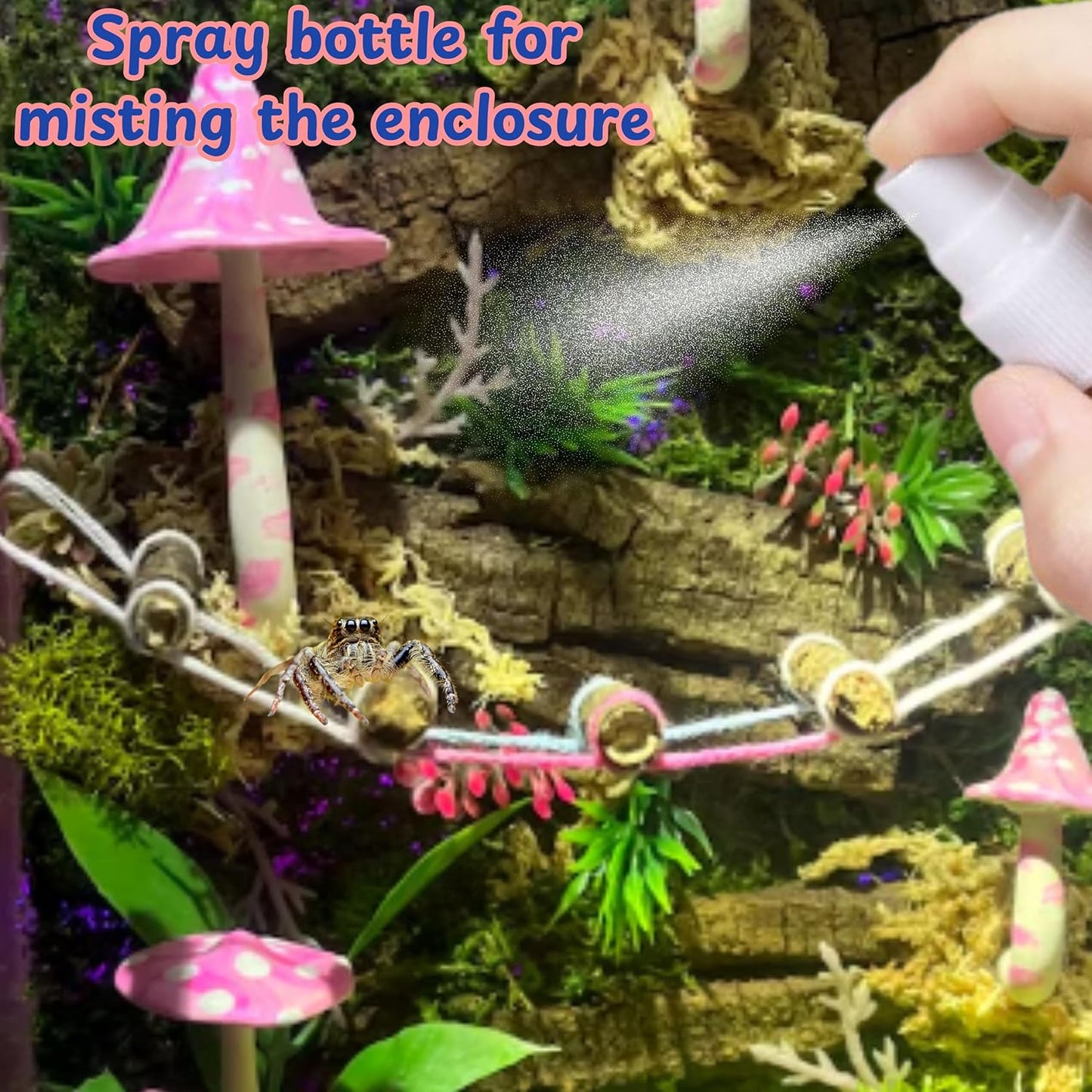 Jumping Spider Enclosure Starter Kit, Tarantula Enclosure Kit, Jumping Spider Accessories, Snail Terrarium Kit, Moss Growing Tool Set, Mini Plant Grow Tool, Reptile Tank Supplies for Habitat (Blue, S)