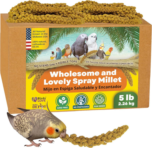 Birds LOVE Wholesome & Lovely Spray Millet Non-GMO (No Stems Only Edible Tops) for Parrots Birds Cockatiel Lovebird Parakeets Finch Canary All Parrots Healthy Treat - 5lbs