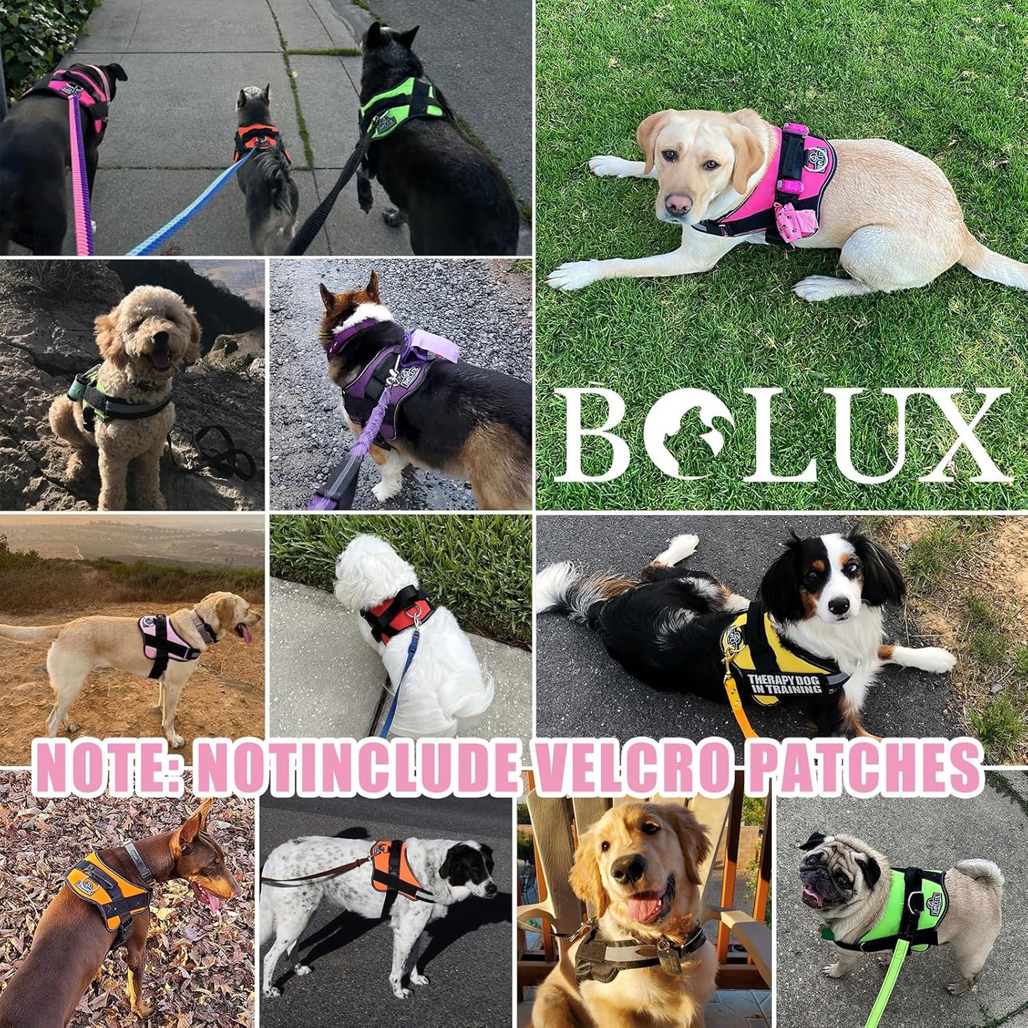 Bolux Dog Harness, No-Pull Reflective Dog Vest, Breathable Adjustable Pet Harness with Handle for Outdoor Walking - No More Pulling, Tugging or Choking (XX-Large (Pack of 1), OilPainting)