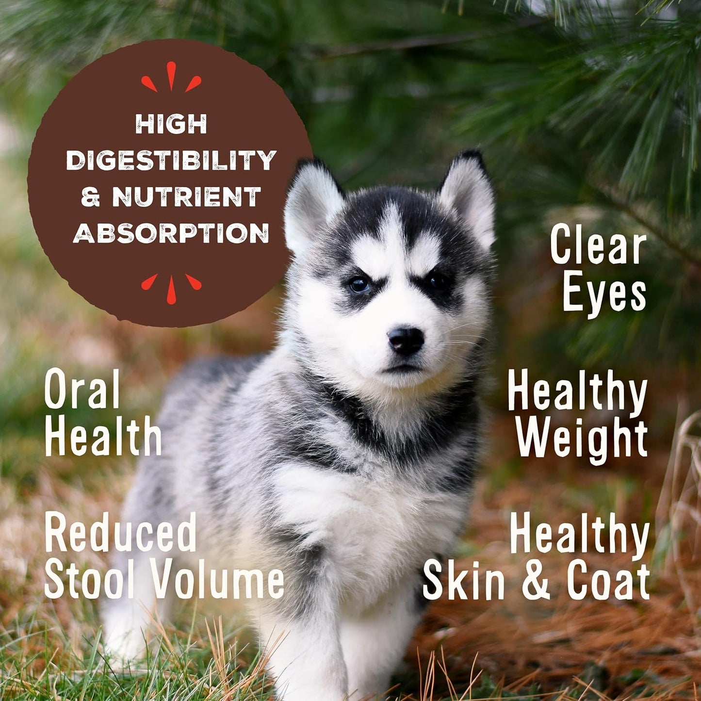 Primal Freeze Dried Puppy Dog Food, Pronto Mini Nuggets; Scoop & Serve, Complete & Balanced Meal; Also Use As Topper or Treat; Premium, Healthy, Grain Free, High Protein Raw Dog Food (25 oz,Pack of 2)