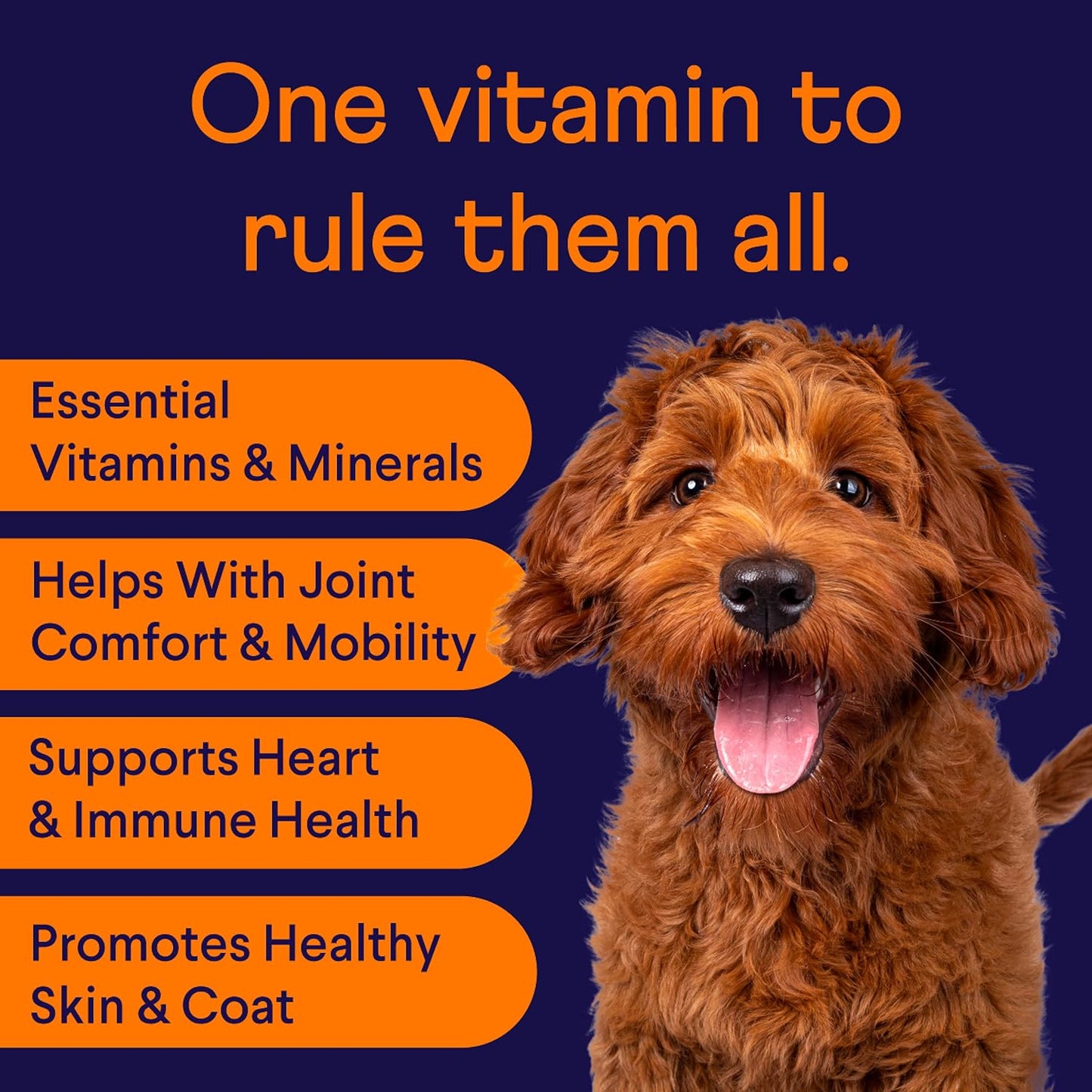 Finn All-in-1 Multivitamin for Dogs - Daily Multi with Probiotics, Omegas & Nutrients to Support Everyday Wellness - 90 Soft Chews