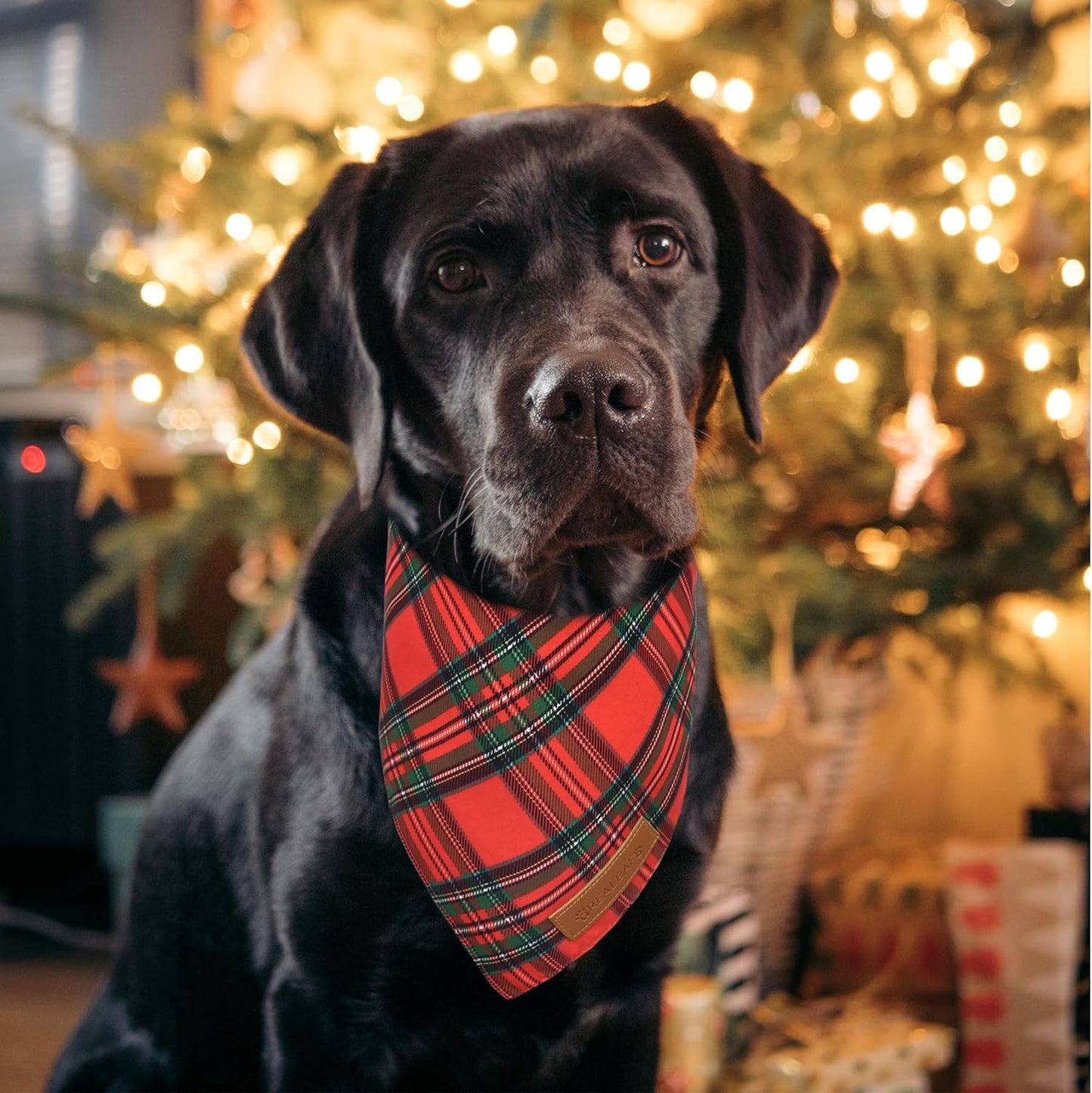 Realeaf Christmas Dog Bandanas 2 Pack, Reversible Red Green Plaid Dog Scarf, Xmas Pet Bandana, Premium Durable Fabric, Holiday Check Bandana for Large and Extra Large Dogs Pets (X-Large)