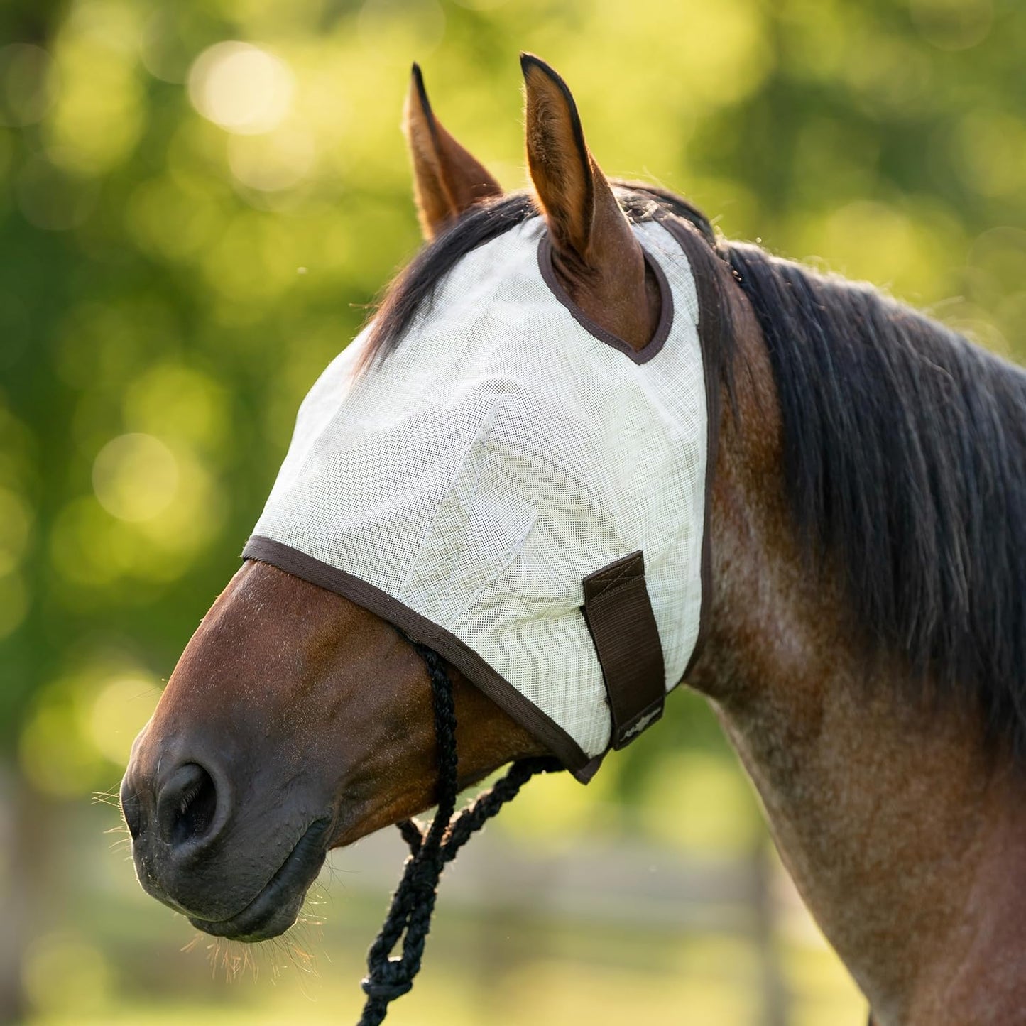 Kensington UV Horse Fly Mask with Web Trim - Protective Mask with Dual Ear Opening & Forelock Freedom - Medium, Desert Sand
