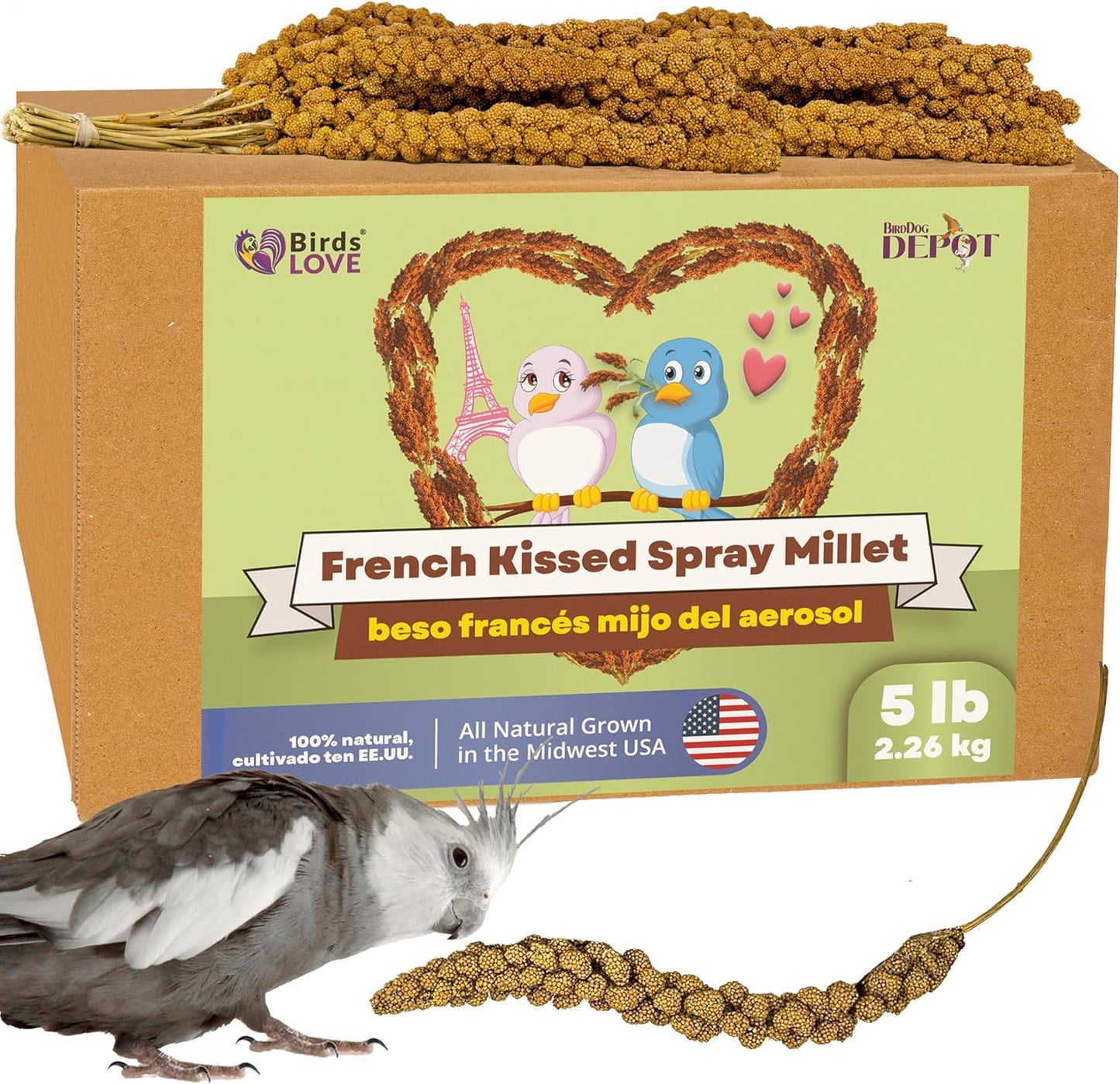 Birds LOVE French Kissed Spray Millet for Birds - Parakeets, Cockatiels, Lovebirds, Finches, Budgies, Canaries, Cockatoos - Natural & Healthy Bird Millet - Parakeet Food & Treats for All Parrots 5lbs