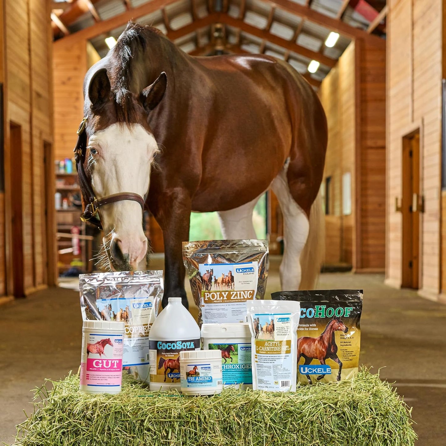 Uckele by SmartEquine EquiBase Grass Pellets | Horse Vitamins & Minerals Supplement | Forage Balancer | Horses in Light to Moderate Work | 15 lb Bucket
