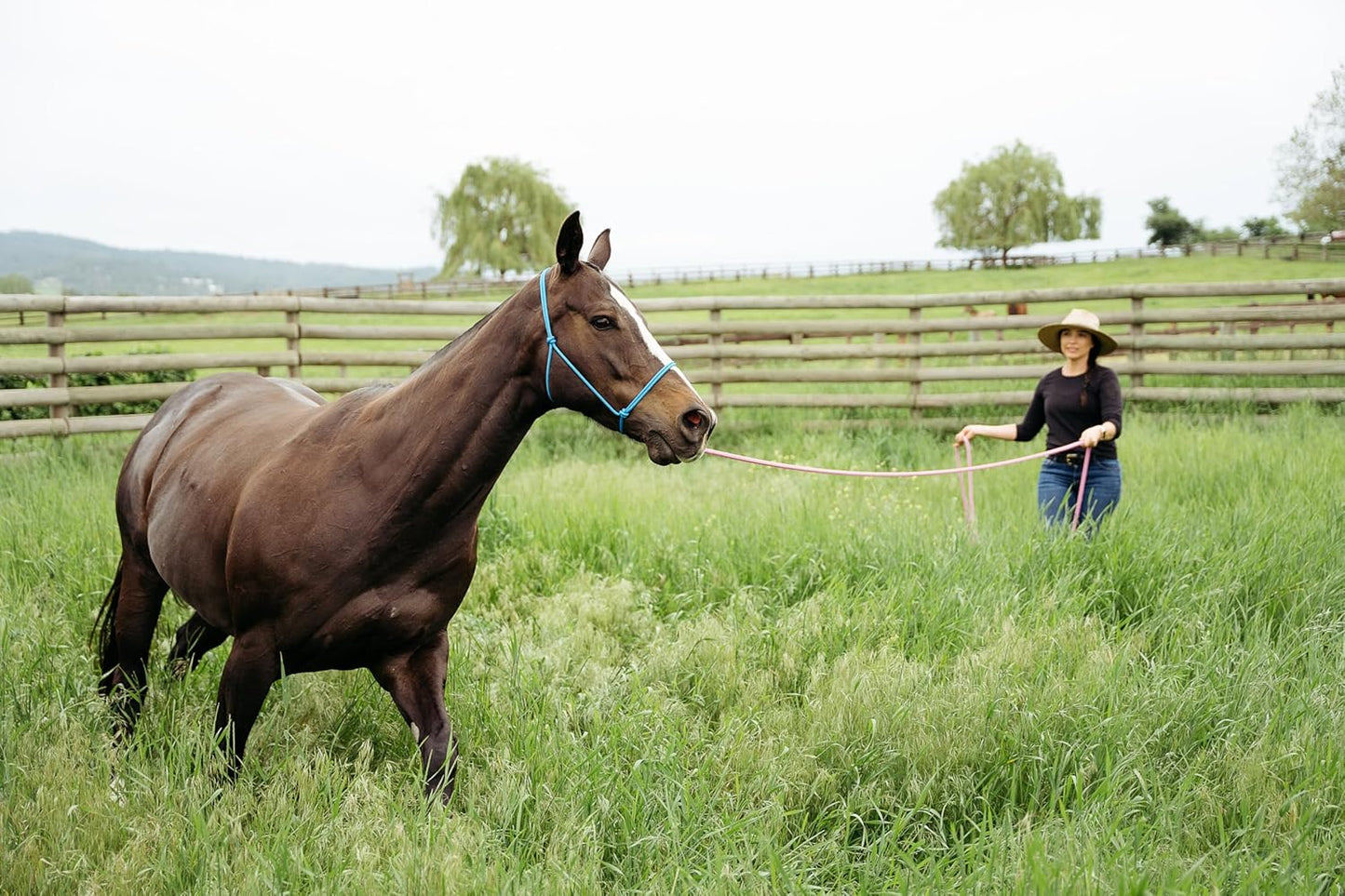 22' Long Line with SS O Ring and Carabiner (Turquoise Brown)