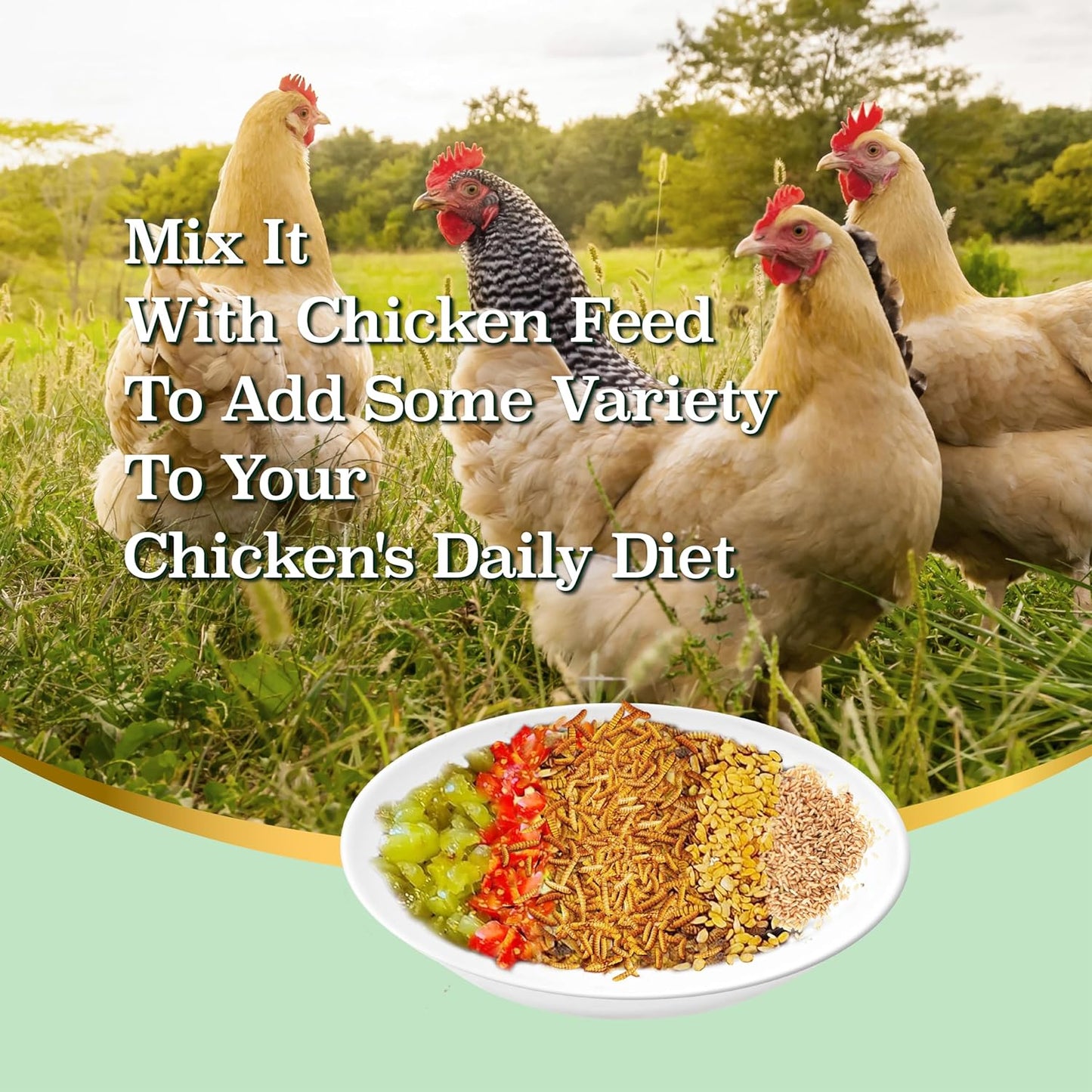 4LB Non-GMO Dried Black Soldier Fly Larvae, More Calcium Than Dried Mealworms, High Protein Chicken Feed, Poultry Treats