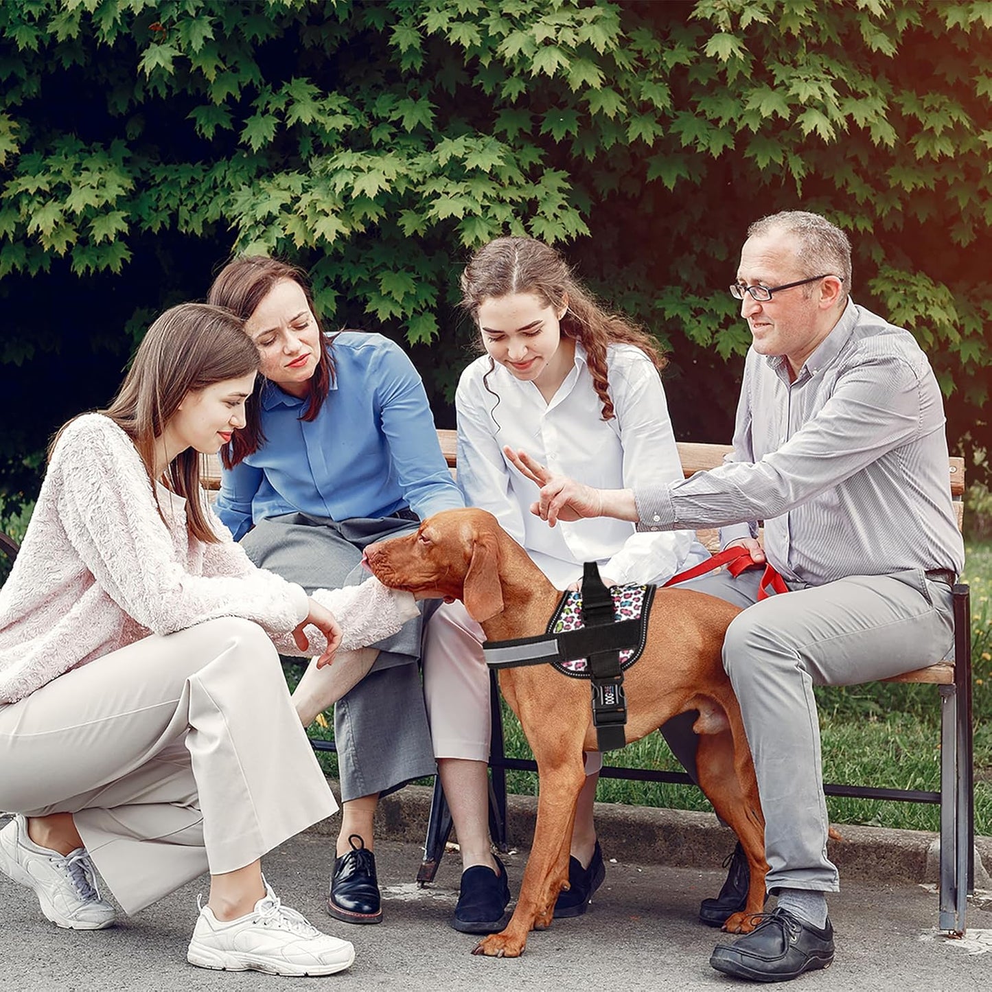 Dogline Dog Harness, Reflective No-Pull Adjustable Vest with Handle for Walking, Training, Breathable, No - Choke Harness for Small, Medium or Large Dogs Room for Patches Leopard Rainbow L 27"-34"