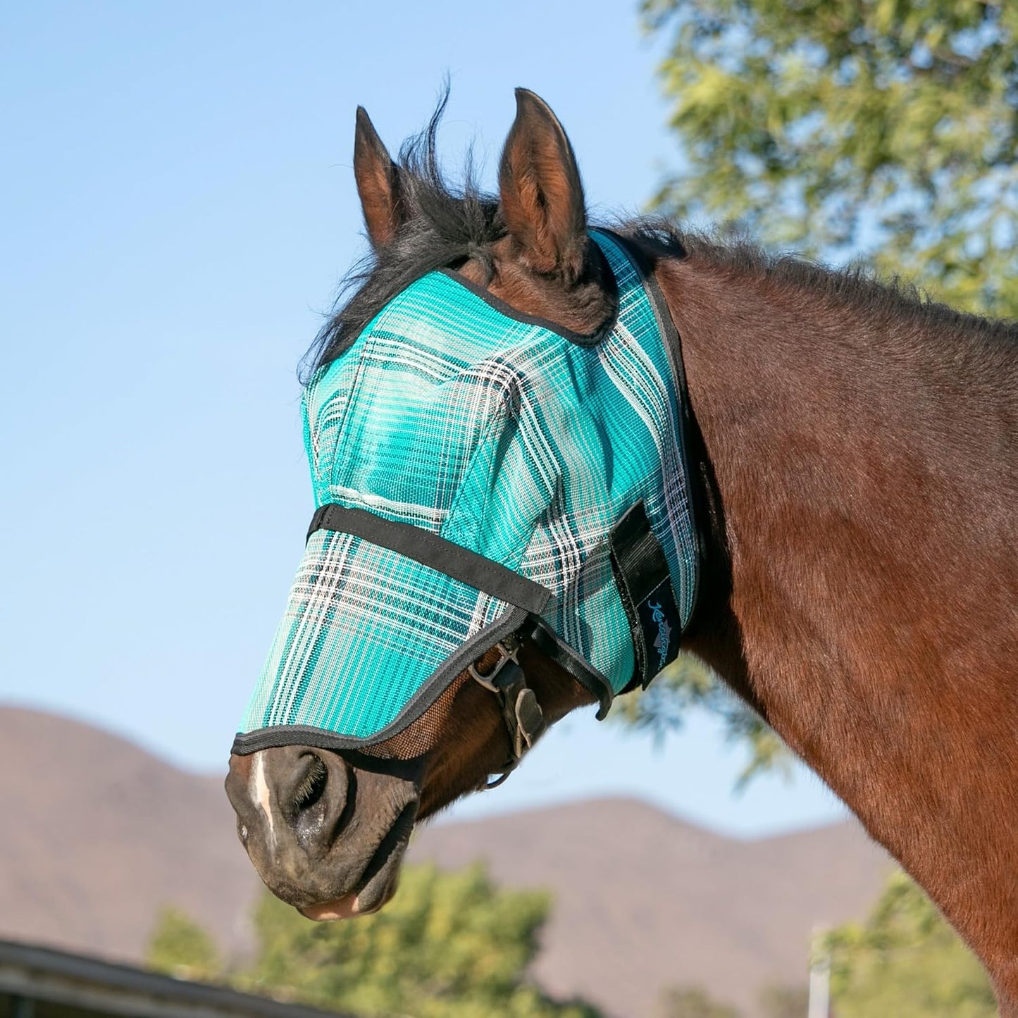 Kensington Signature Fly Mask with Removable Nose — Protects Horses Face and Nose from Biting Insects and UV Rays While Allowing Full Visibility — Ears and Forelock Able to Come Through The Mask