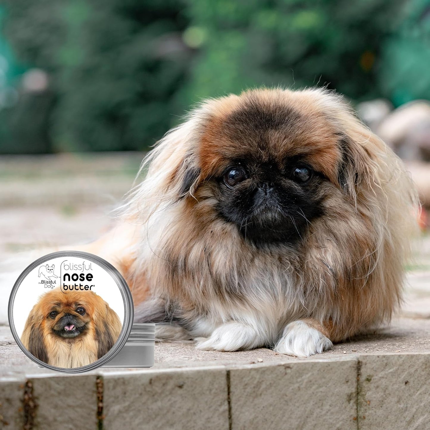 The Blissful Dog Pekingese Unscented Nose Butter - Dog Nose Butter, 1 Ounce