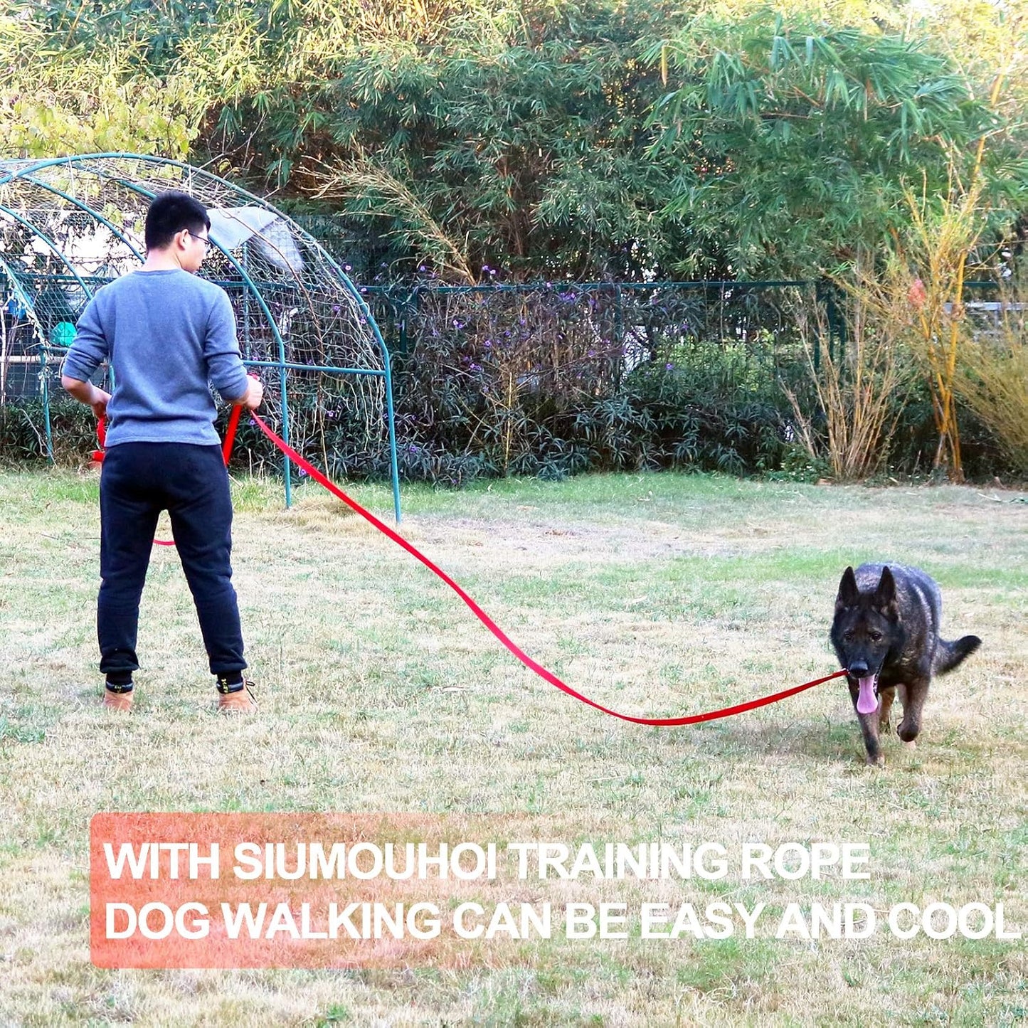 Reliable Siumouhoi Dog/Puppy Obedience Recall Training Agility Lead - 15ft， 20ft， 30ft ，40ft， 50ft Training Leash - Great for Play, Camping & Backyard（Blue，40 Feet