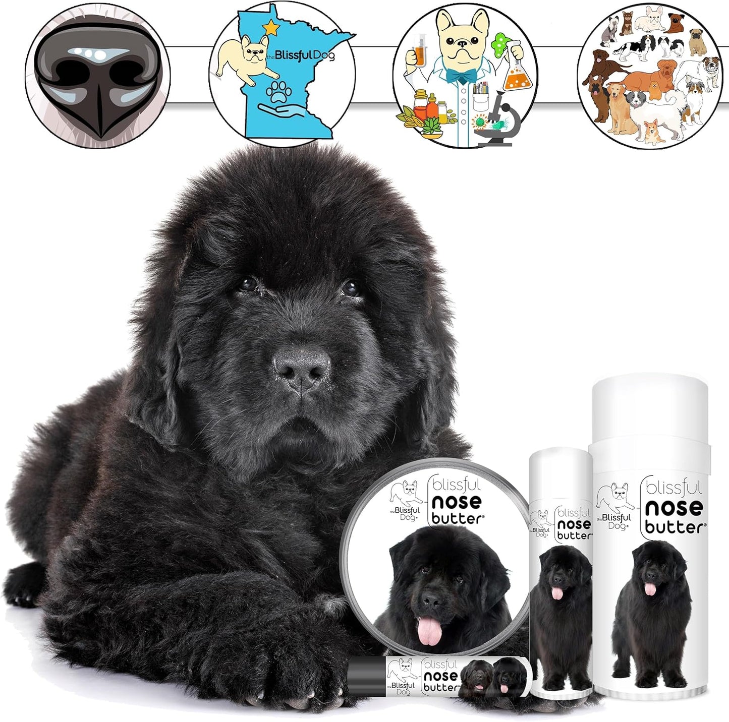 The Blissful Dog Newfoundland Unscented Nose Butter - Dog Nose Butter, 16 Ounce